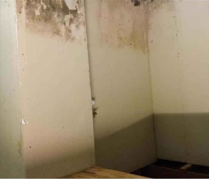 mold damage and stains on top of walls