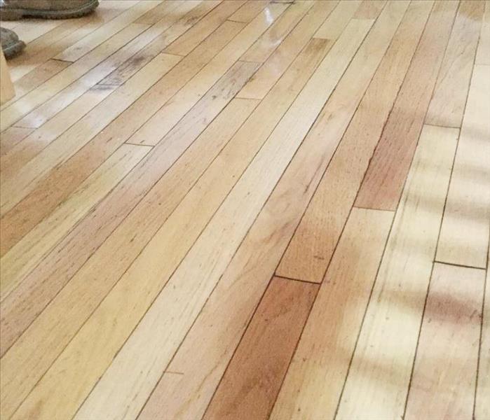 no more mold or water damage - clean floor