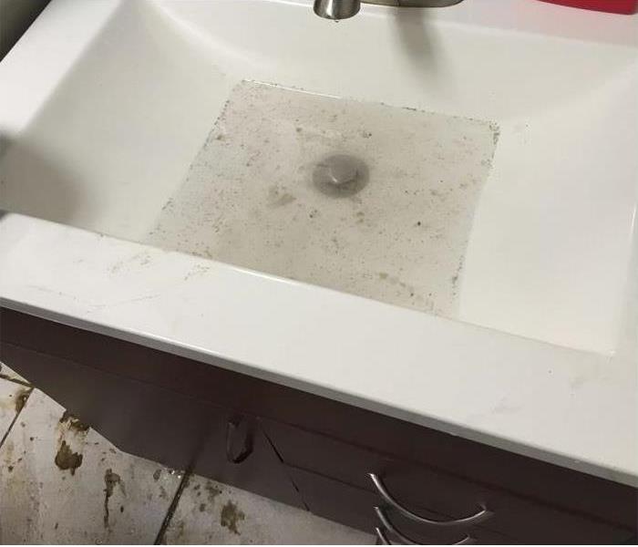 sink half full of water and bio hazard debris
