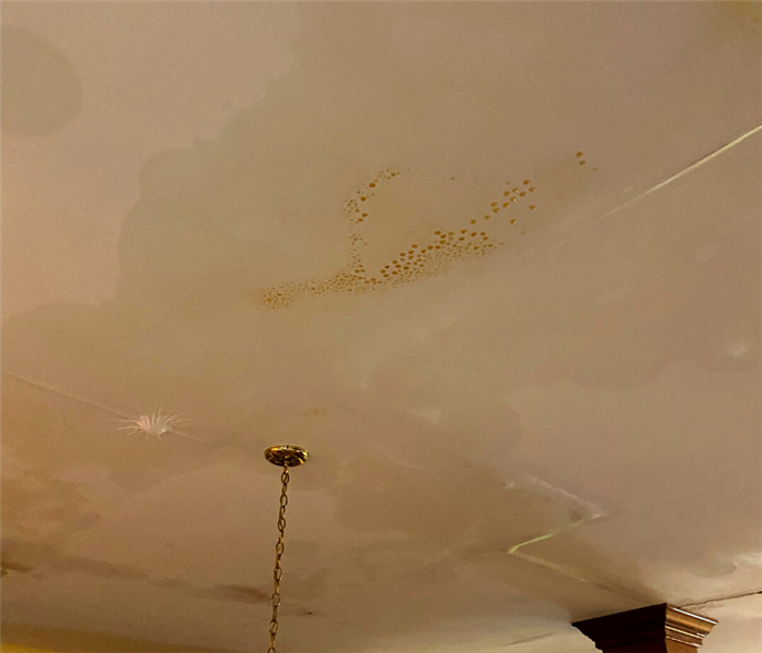 Water damage repair ceiling near me in Southington, CT.