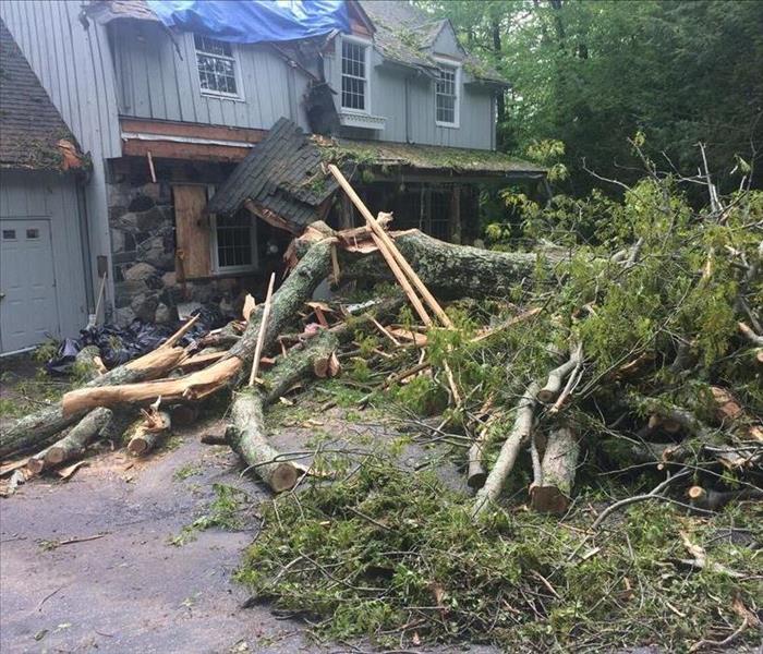 fallen tree casing storm damage to connecticut home